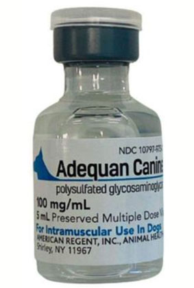 Adequan Canine for Dogs – Canine Injection (5 ml) Adequan Canine for Dogs – Canine Injection (5 ml)