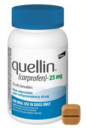 Quellin for Dogs – 25 mg Quellin for Dogs – 25 mg
