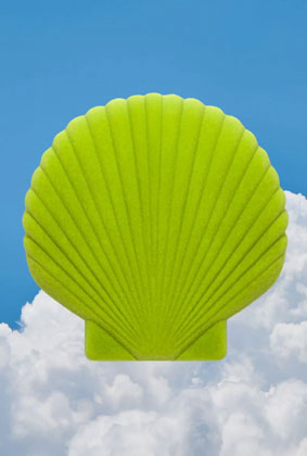Shell Jewelry Box