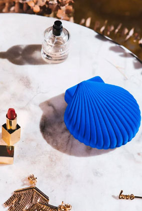 Shell Jewelry Box