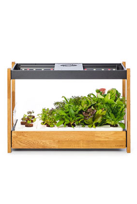 The Click & Grow 25