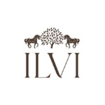 Ilvi Ilvi