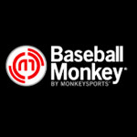 Baseball Monkey