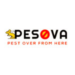 Pesova